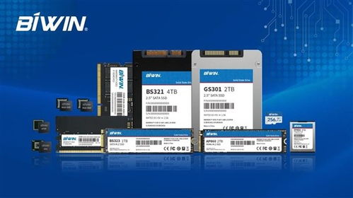 國(guó)產(chǎn)半導(dǎo)體龍頭企業(yè)佰維存儲(chǔ)向港交所提交上市申請(qǐng)書(shū)，拓展信息技術(shù)咨詢(xún)服務(wù)市場(chǎng)