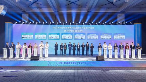 無錫粵港澳大灣區(qū)文化產(chǎn)業(yè)合作大會(huì)舉行，聚焦數(shù)字文化創(chuàng)意內(nèi)容應(yīng)用服務(wù)